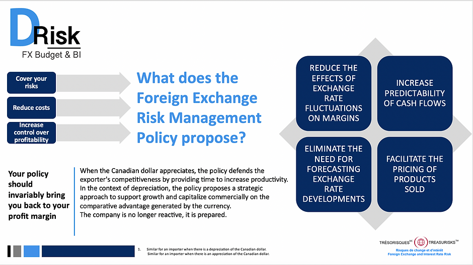 What does the Foreign Exchange Risk Management Policy propose ?