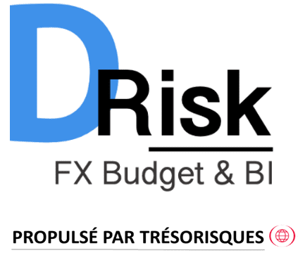Logo d-risk fx