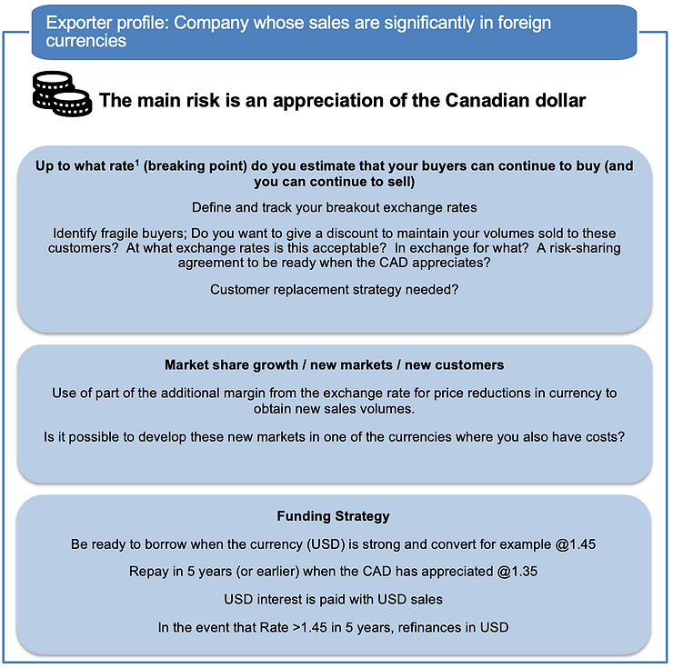 crisis and currency risk